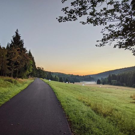 Apartmany Forest Kovarska Bagian luar foto